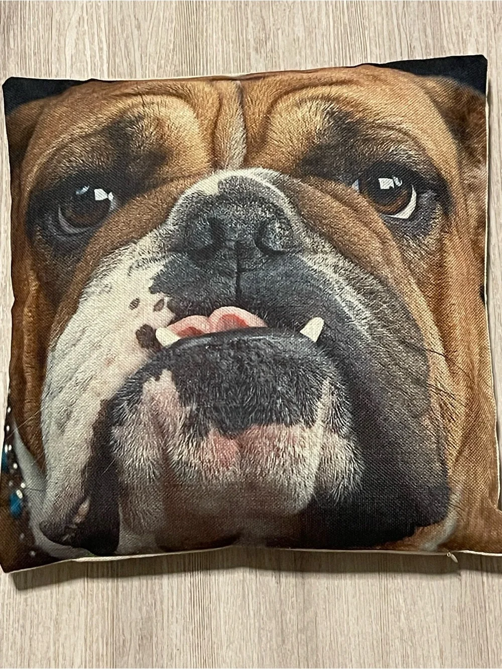 Bulldog Face Accent Pillow in Brown